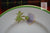 Antique Teacup & Saucer Scottish Glamis Thistle Green & Lavender Artist Signed Royal Doulton