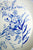 HUGE Wedgwood Blue & White English Botanical Herbarium Transferware 15” Charger Platter