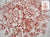 Vintage English Red Toile Pink Transferware 10" Dinner Plate Big Cabbage Roses Daisies