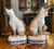 Antique Pair Small Staffordshire Siamese Cats Figurines