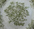Old Olive / Sage Green Transferware Plate Roses Bird Butterfly