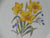 English Staffordshire Charger Plate George Jones Spring Daffodils Hand Painted and Signed 3 in Series of 12 RARE
