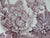 Lavender Purple Floral Toile Transferware Victorian Plate Basket of Roses Charlotte