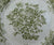 Olive / Sage Green Transferware Plate Roses Bird Butterfly