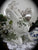 Green English Transferware Bunny Rabbit Toothbrush or Pen Holder Charlotte Floral Toile
