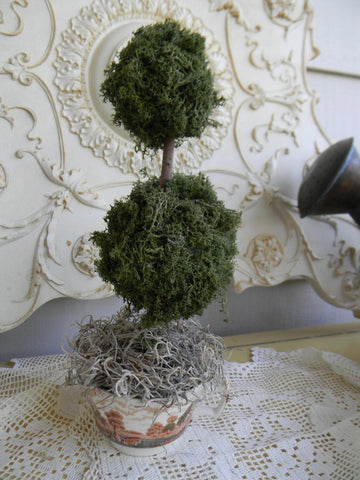Reindeer Moss Double Ball  Topiary in Vintage Brown Polychrome English Transferware Tea Cup
