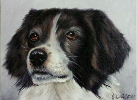 Original Hand Painted Oil Painting English Springer Spaniel Portrait Artist signed