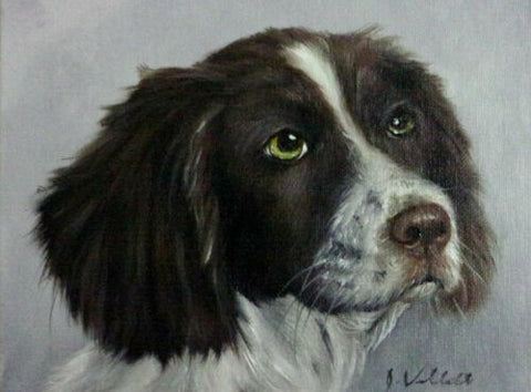 Original Artist Signed Oil Painting Green Eyed English Spaniel Dog Profile Hand Painted